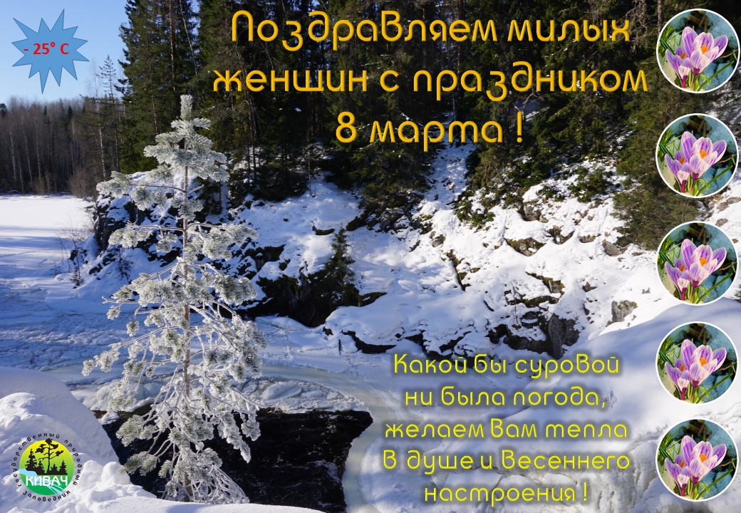 8 марта