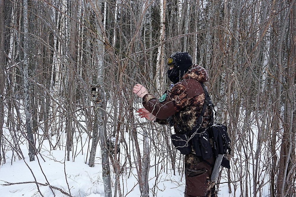 Размещение фотоловушки